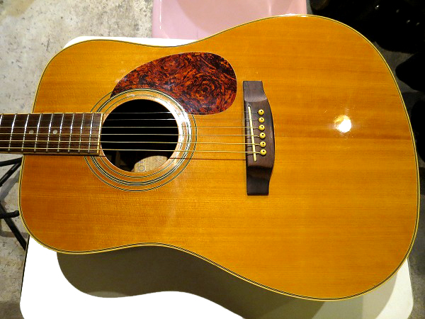 PRO-MARTIN　W-180　70’s ヴィンテージ　アコースティックギター